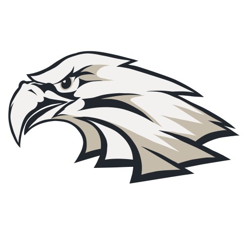 Eagle head logo vector image