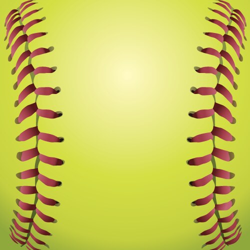 Closeup of a softball vector image