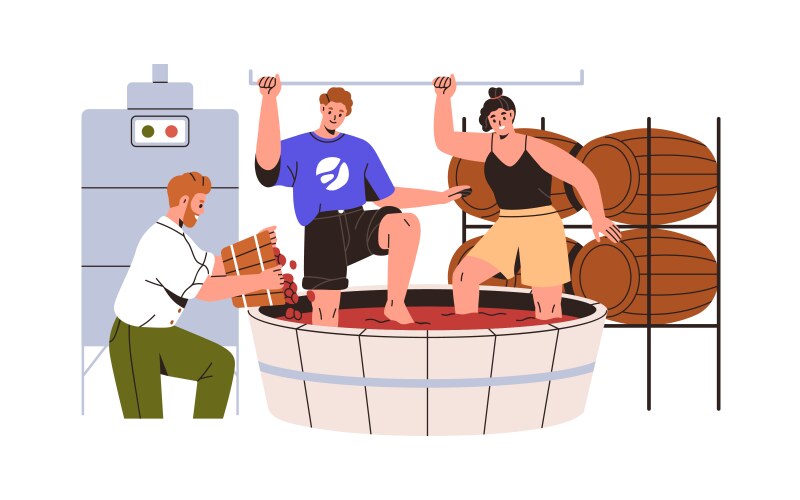 Traditional winemaking process grape treading vector image