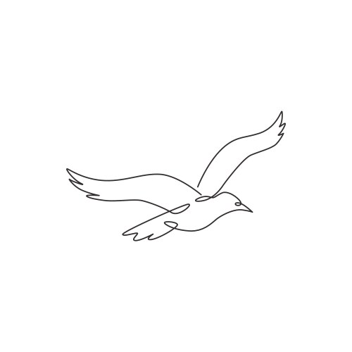 one single line drawing wild seagull vector image