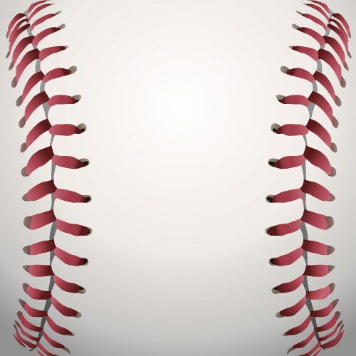 Baseball closeup vector image