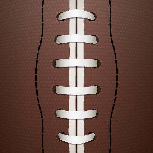 American football closeup vector image