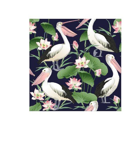 Seamless pattern with graceful pelicans vector image