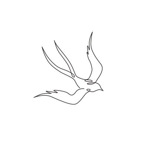 one single line drawing elegant swallow vector image