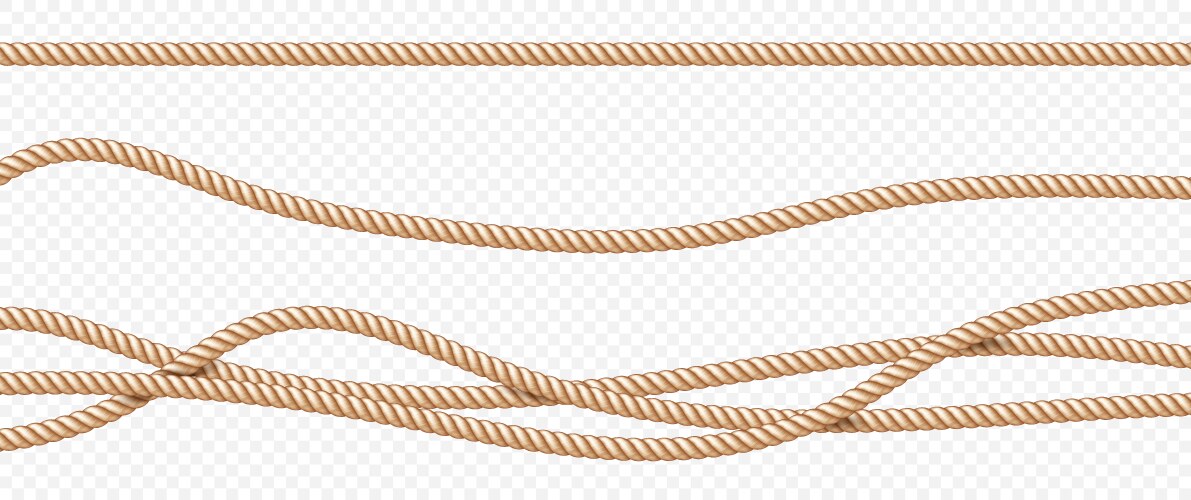 Realistic fiber ropes set isolated on transparent vector image