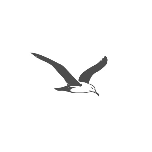 seagull vector image