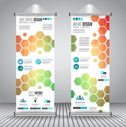 Advertisement roll up business flyer or brochure vector image