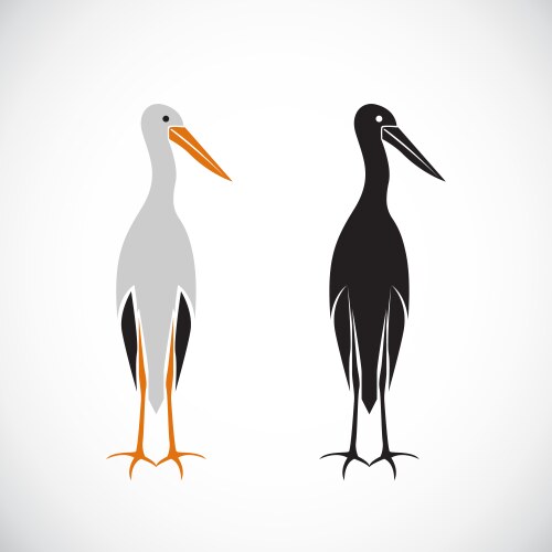 stork design vector image