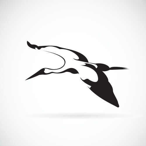 stork vector image