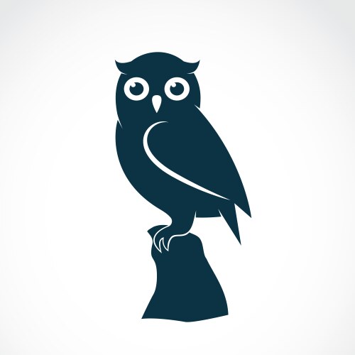 owl vector image