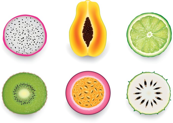 Group of many fresh tropical slice fruit vector image