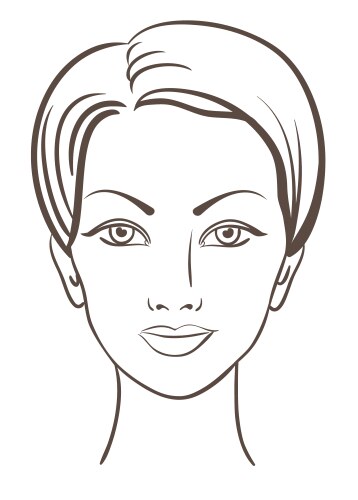 woman face vector image