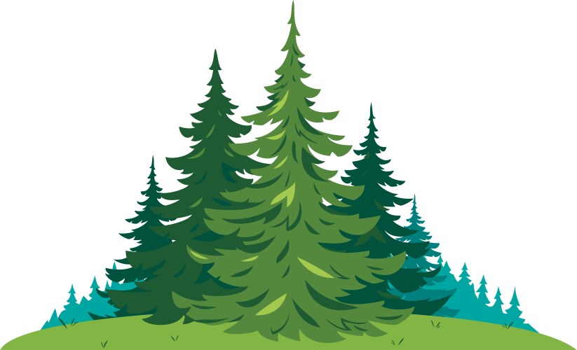 coniferous spruce forest clipart isolated vector image