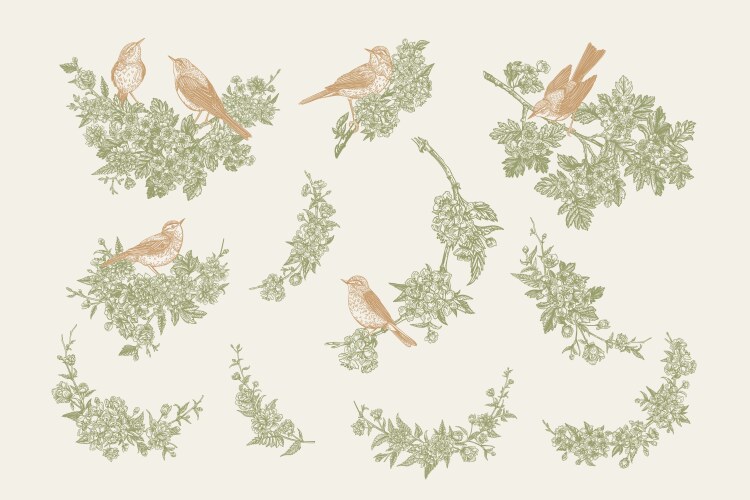 Set with birds and flowering branches vector image