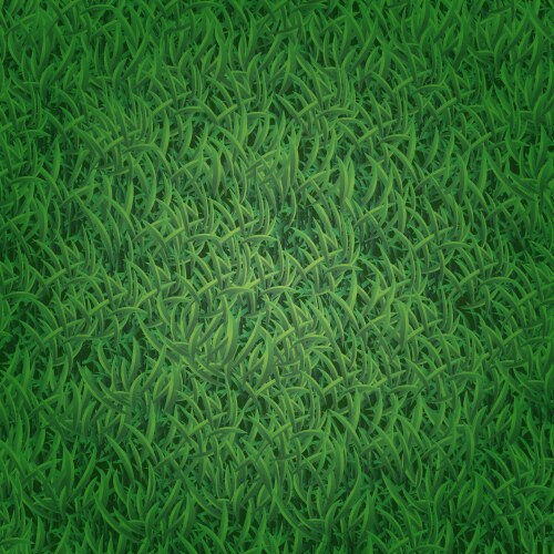 Seamless grass texture vector image