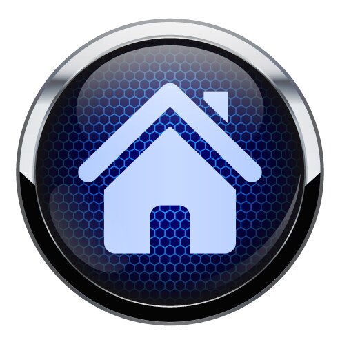 Blue honeycomb home icon vector image