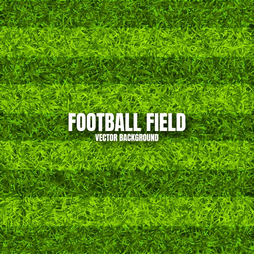 Soccer playing field with green grass football vector image