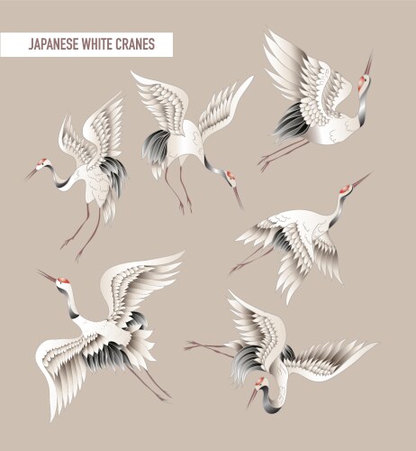 Japanese white crane in batik style vector image