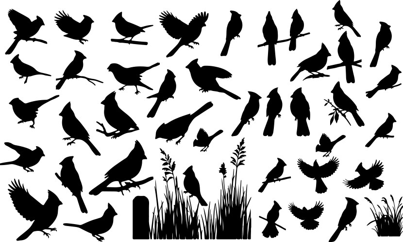 Northern cardinal silhouette collection vector image