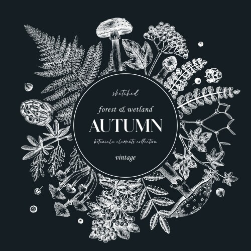 autumn card or invitation on chalkboard vector image