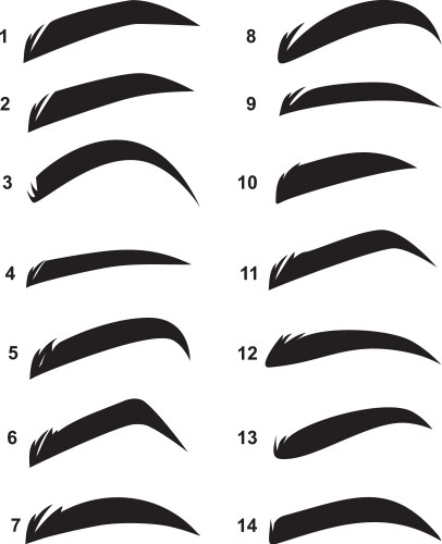 Shape eyebrows vector image