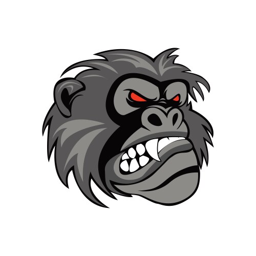 Head monkey vector image