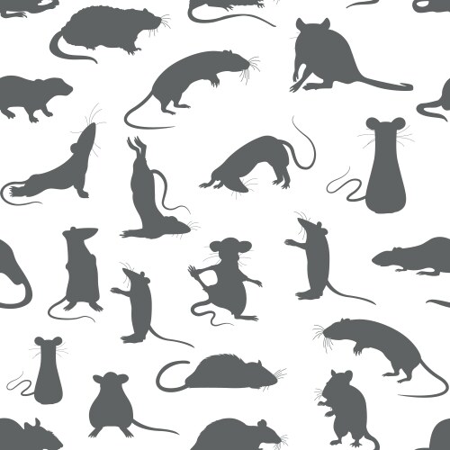 Rats seamless pattern rat poses and exercises vector image