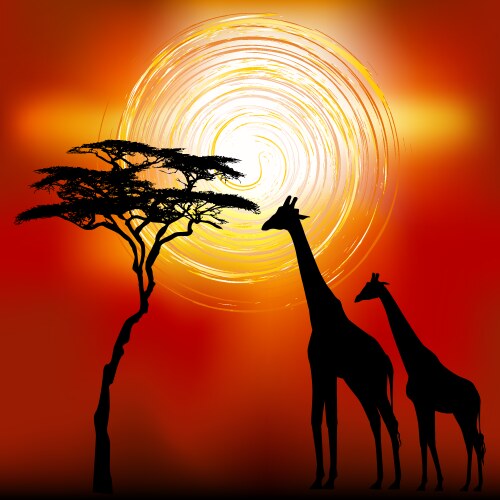 Kenya giraffes vector image