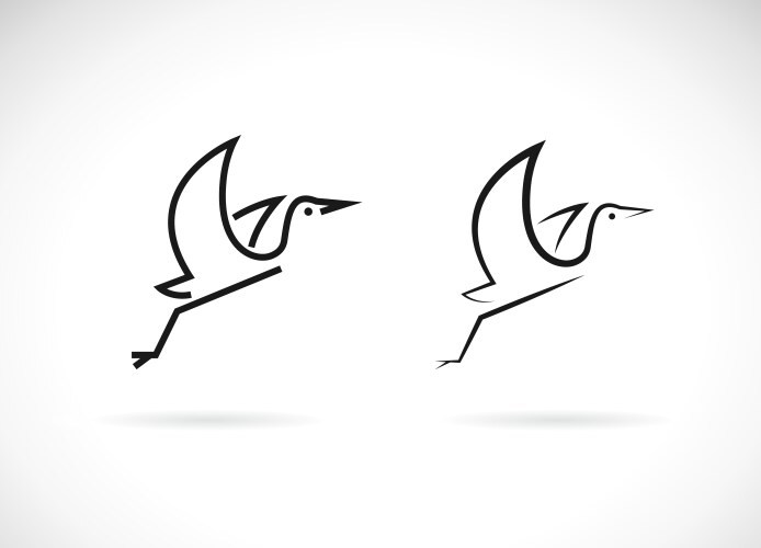 Egret design on white background birds logos vector image