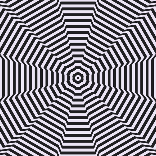 Abstract pattern of black and white lines optical vector image