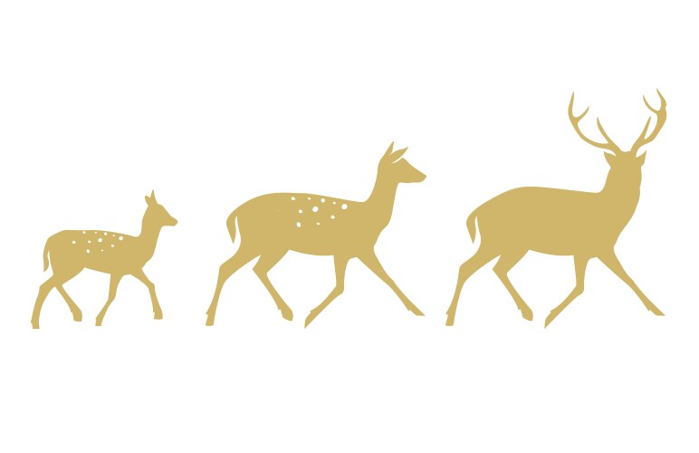 Deer collection - silhouette vector image