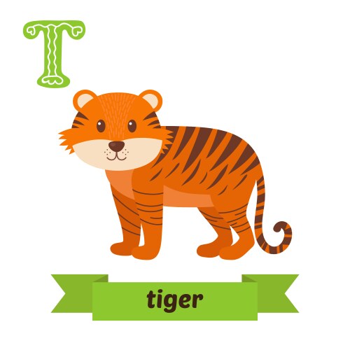 Tiger t letter cute children animal alphabet vector image