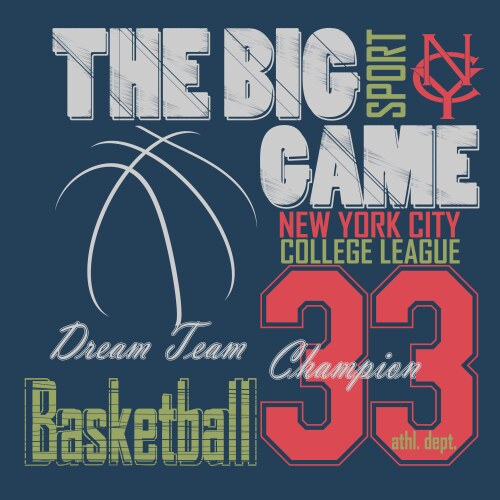 Basketball t-shirt graphic design new york vector image