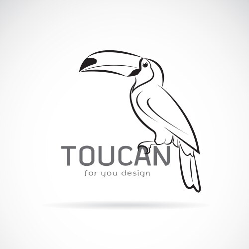 Toucan birb design on white background wild vector image