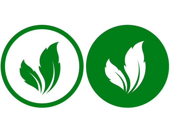 white and green leaf eco icons labels vector image