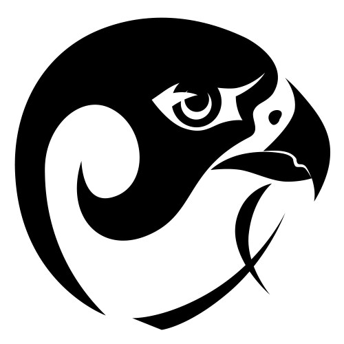 Falcon head symbol vector image