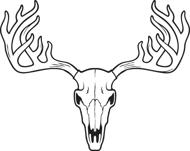 Deer skull black white vector image