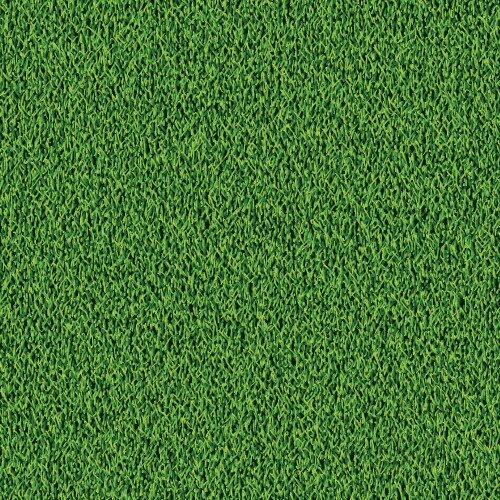 green grass background vector image