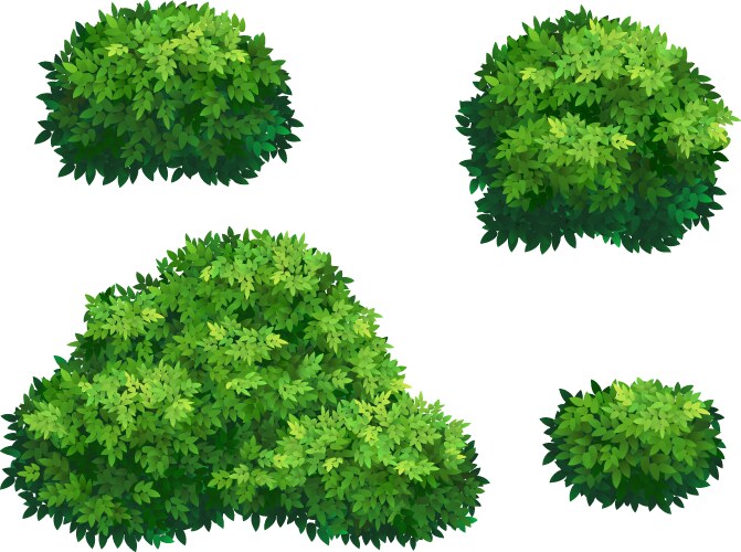 Green bushes and tree crown vector image