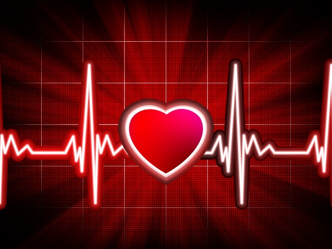 Heart beating monitor vector image