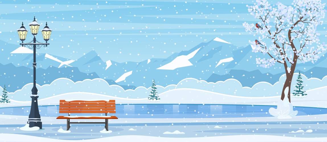 Empty outdoor ice rink vector image