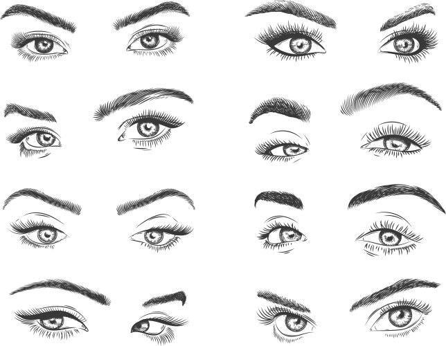 Female eyes glamour eye lashes woman vector image