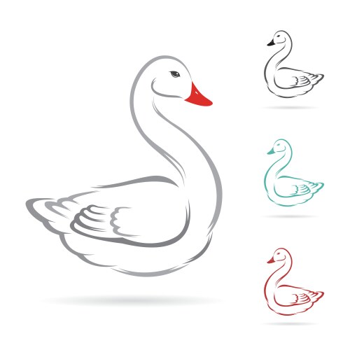 image of swan vector image