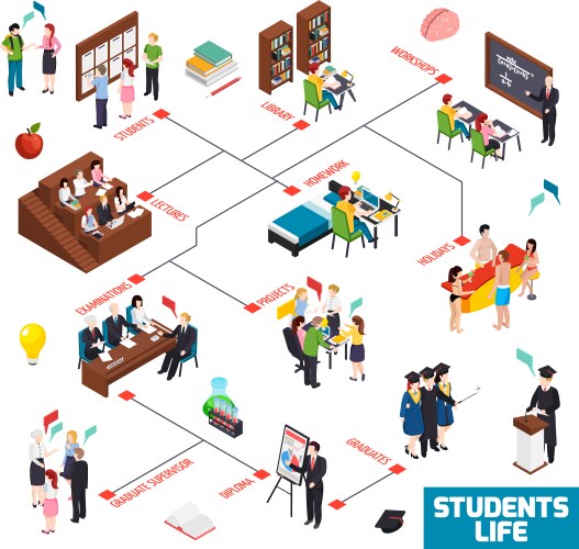 University students isometric flowchart vector image