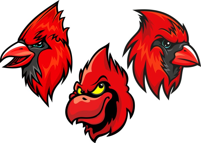 Cardinal bird heads set vector image