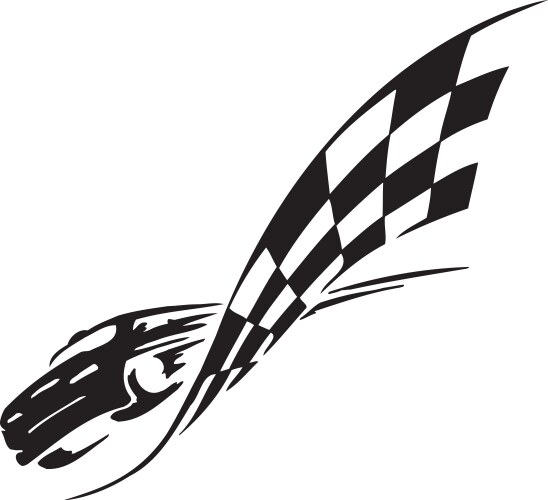 Checkered flag - symbol racing vector image