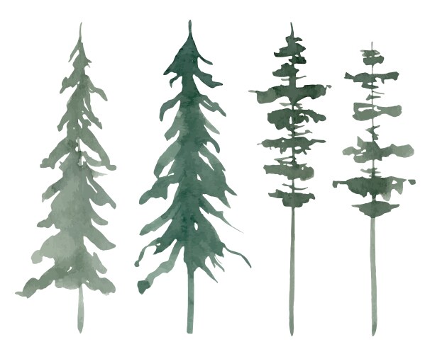 Pine and fir trees hand drawn watercolor set vector image