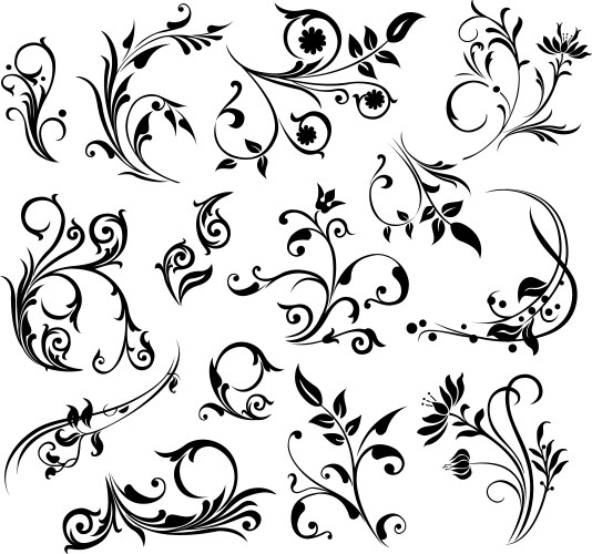 Floral design elements vector image