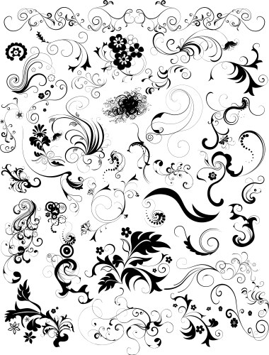 Floral decorative element vector image