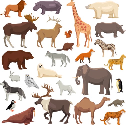 animals big set vector image